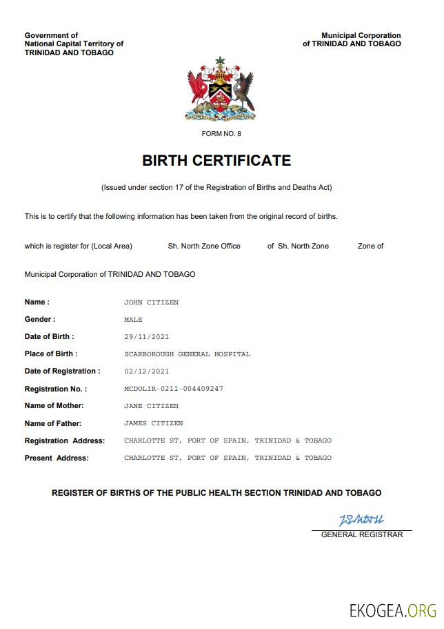 Modèle Word et PDF d'acte de naissance de Trinité et Tobago